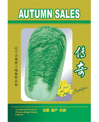 传奇