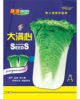 大满心A