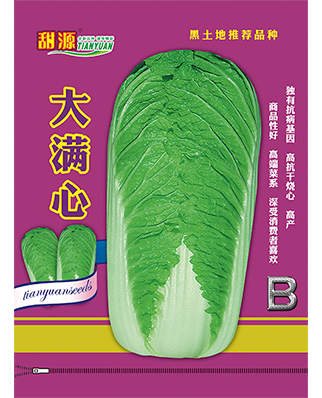大满心-B