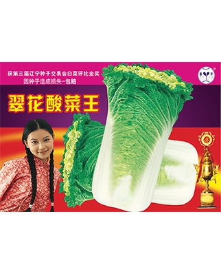 翠花酸菜王