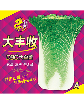 大丰收A
