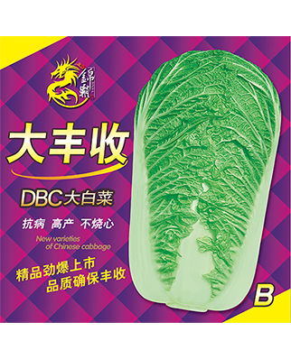 大丰收B