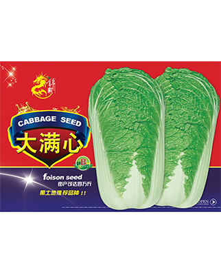 大满心B