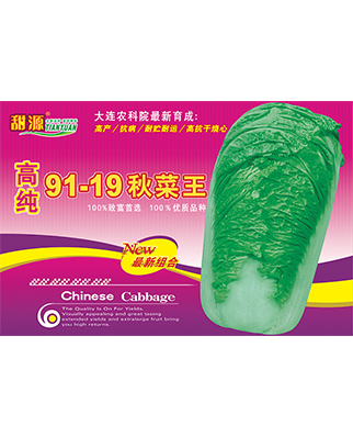 高纯91-19