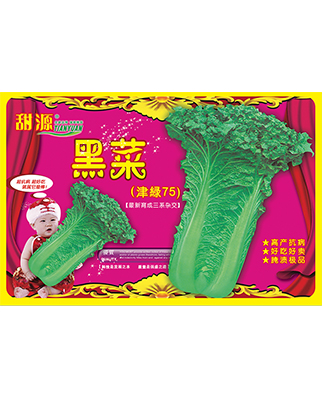 黑菜