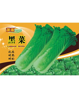 黑菜-2015新版