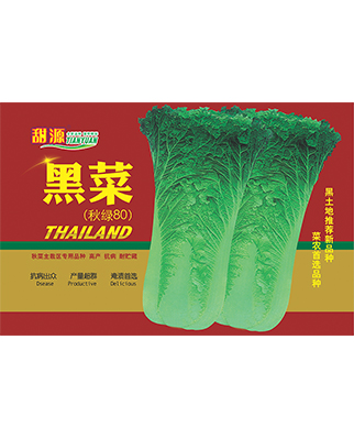 黑菜红色大袋
