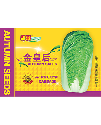 金皇后