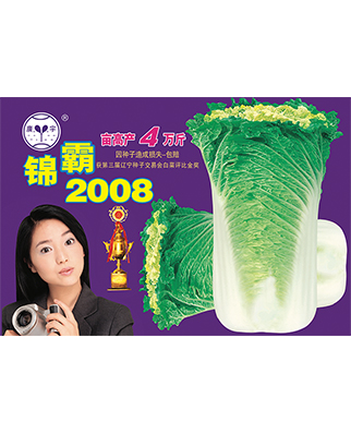 锦霸2008