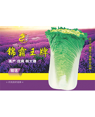锦霸王牌