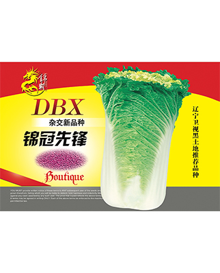 锦冠先锋