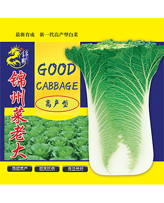 锦州菜老大