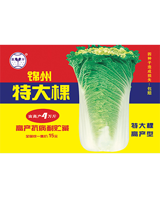 锦州特大棵