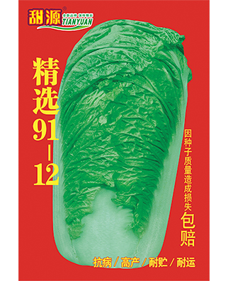 精选91-12
