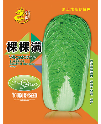 精棵棵满