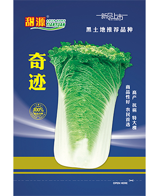 奇迹