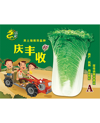 庆丰收A