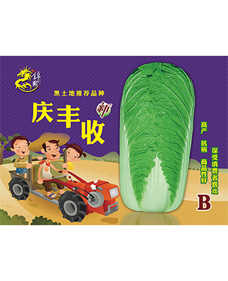 庆丰收B