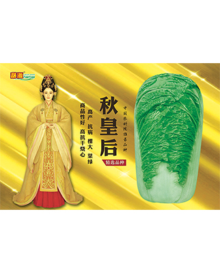 秋皇后