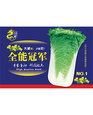 全能冠军