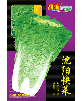 沈阳快菜