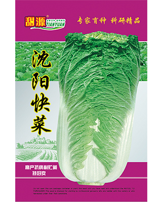 沈阳快菜-小