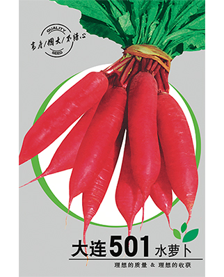 大连501