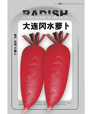大连冈水萝卜