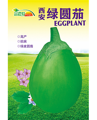 绿圆茄