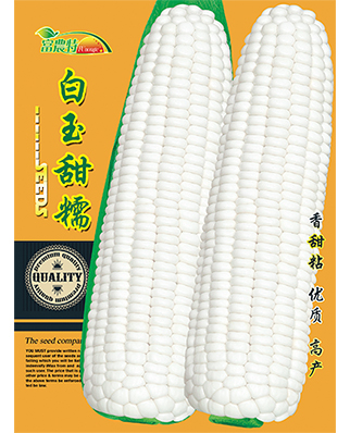 白玉甜糯