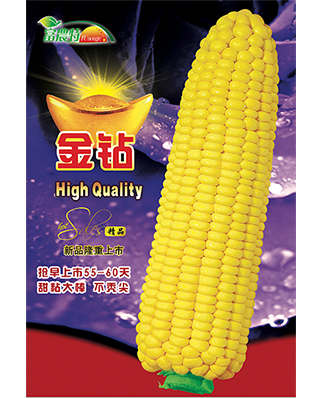 金钻