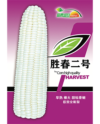 胜春二号  紫色版