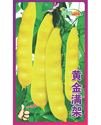 黄金满架