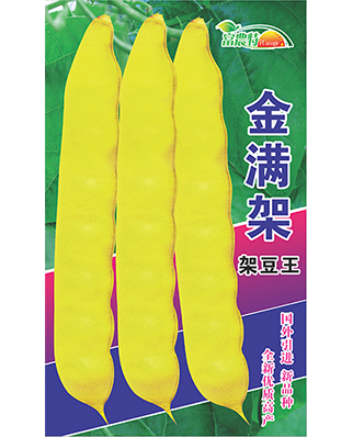 金满架